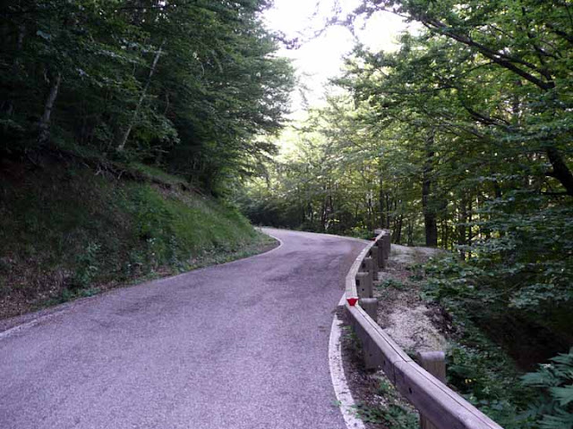 Monte Catria: post effimero sulla pedalabilità del Monte P1010430