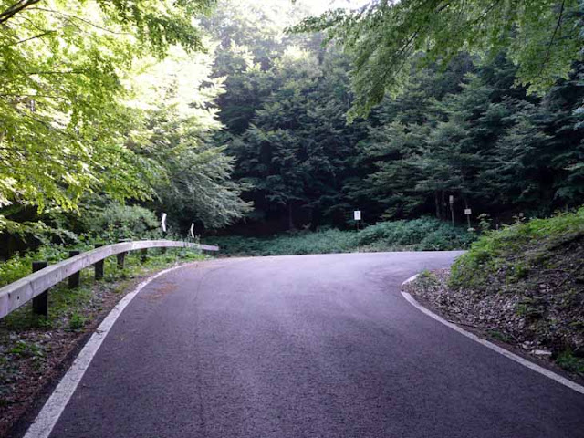 Monte Catria: post effimero sulla pedalabilità del Monte P1010435
