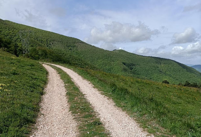 Tappe del Brevetto Gravel #21: da Chiavellara a Cima Mutali 47886599Master