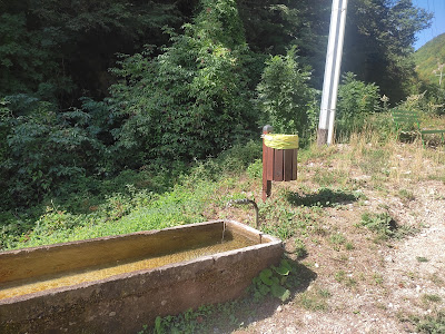 IMG 20220817 100710