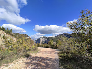 IMG 20221106 130633 2