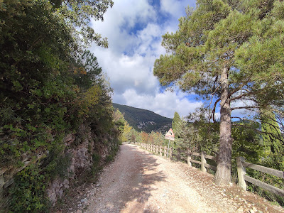 Passo del Furlo e panoramica del Monte Pietralata IMG 20221106 131355