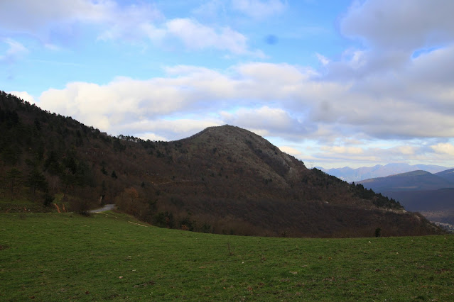 IMG 9662