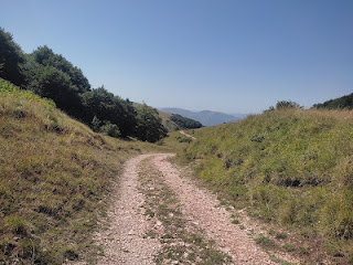 LAFORCA21