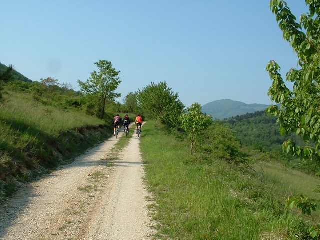 L'"Alta Via" del San Vicino FalcioniVAlgiubola Vadoinbici.it