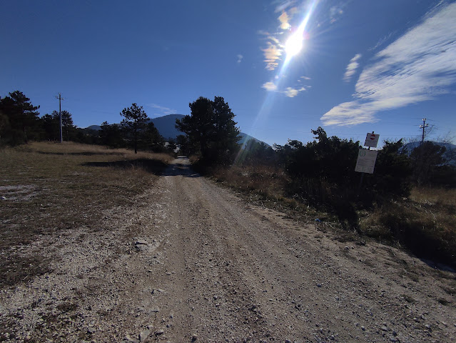 L'"Alta Via" del San Vicino IMG 20240131 133135