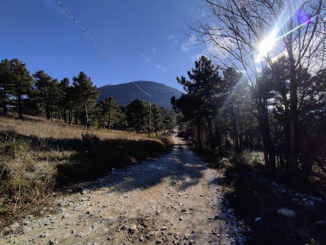 L'"Alta Via" del San Vicino IMG 20240131 134042