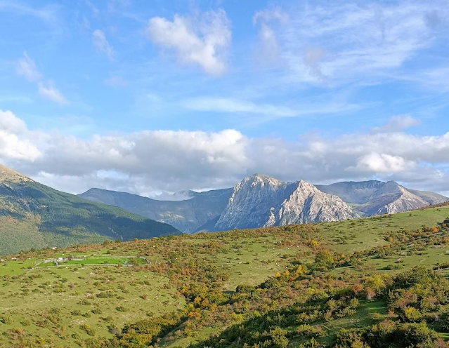 La quarta forca: Forca di Giuda Copia