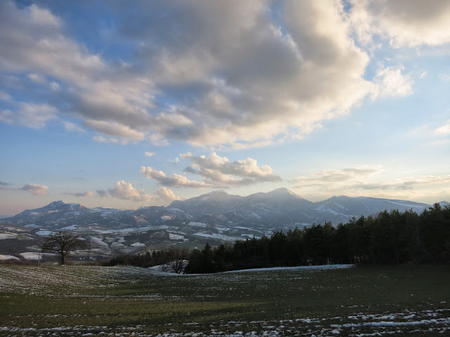 Monti del Furlo IMG 0208
