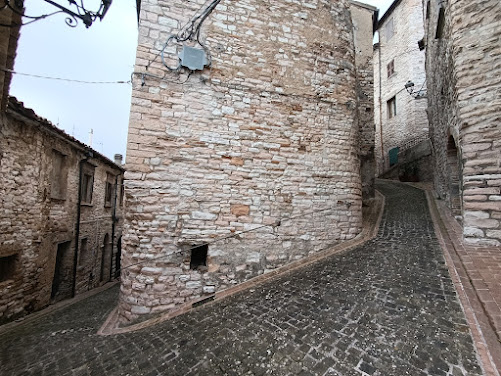 IMG 20241201 110119