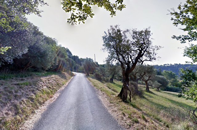 I Muretti: la sfida verticale di Maiolati Tufi9