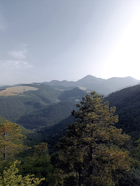 Rucce sulla strada del Cucco IMG 20250615 230225