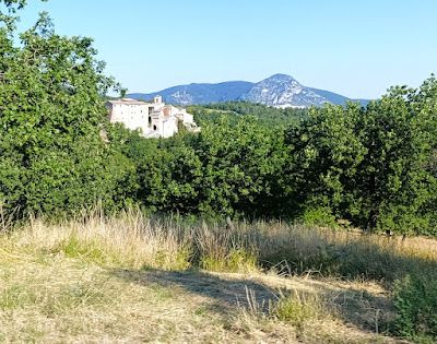 IMG 20250703 103541