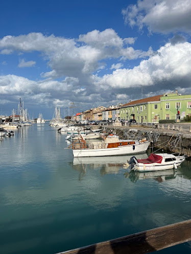 La Panoramica del San Bartolo 7uRZddwKUETve9JkkMLCbUgV9owrQChIhokFe6MsULE 1536x2048 1