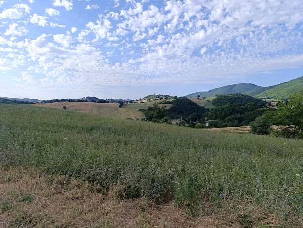 Monte San Vicino dal Molino Bravi IMG 20250720 082317