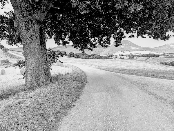 Monte San Vicino dal Molino Bravi IMG 20250720 0830203