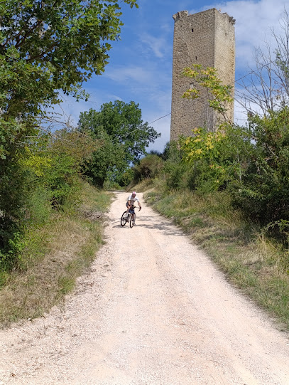 Aliforni e la strada dei castelli IMG 20250816 102722