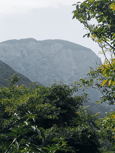Pascelupo e Coldipeccio IMG 20250615 231025