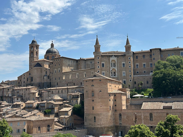 Urbino