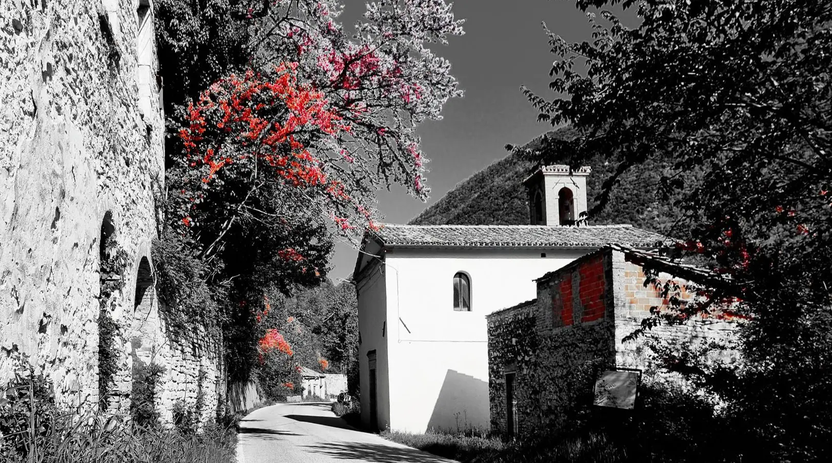 Home colle altino foto eastwood 1.jpg
