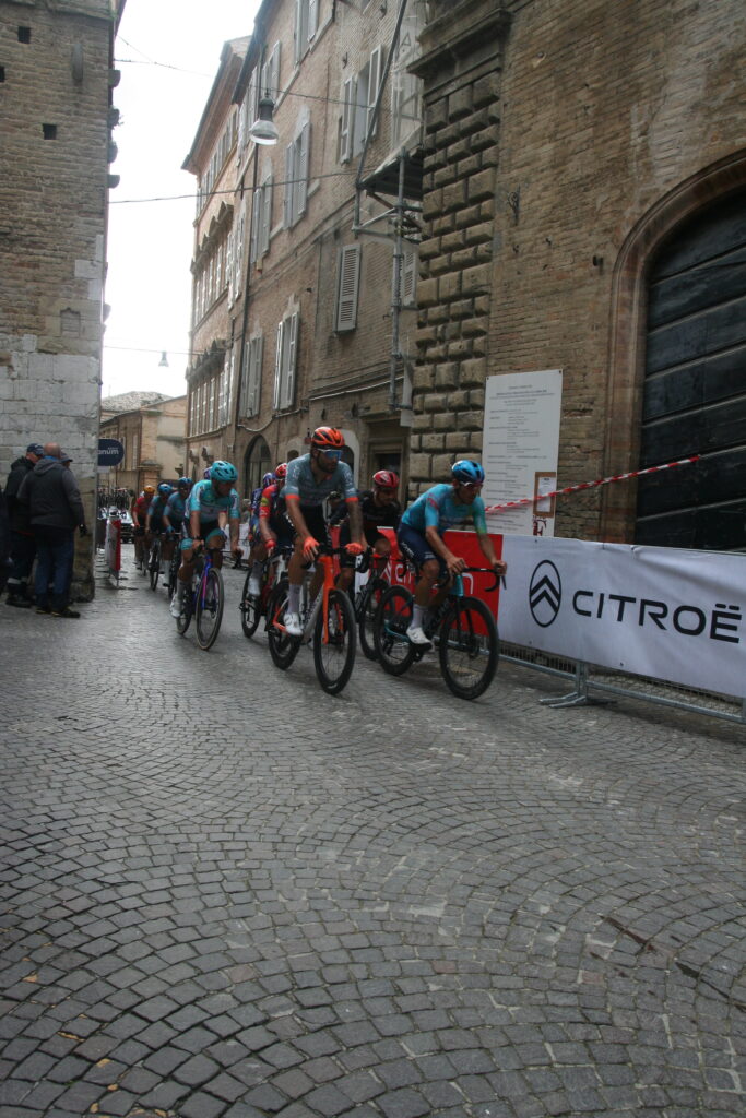 Facce da Fermo Fermo 8148