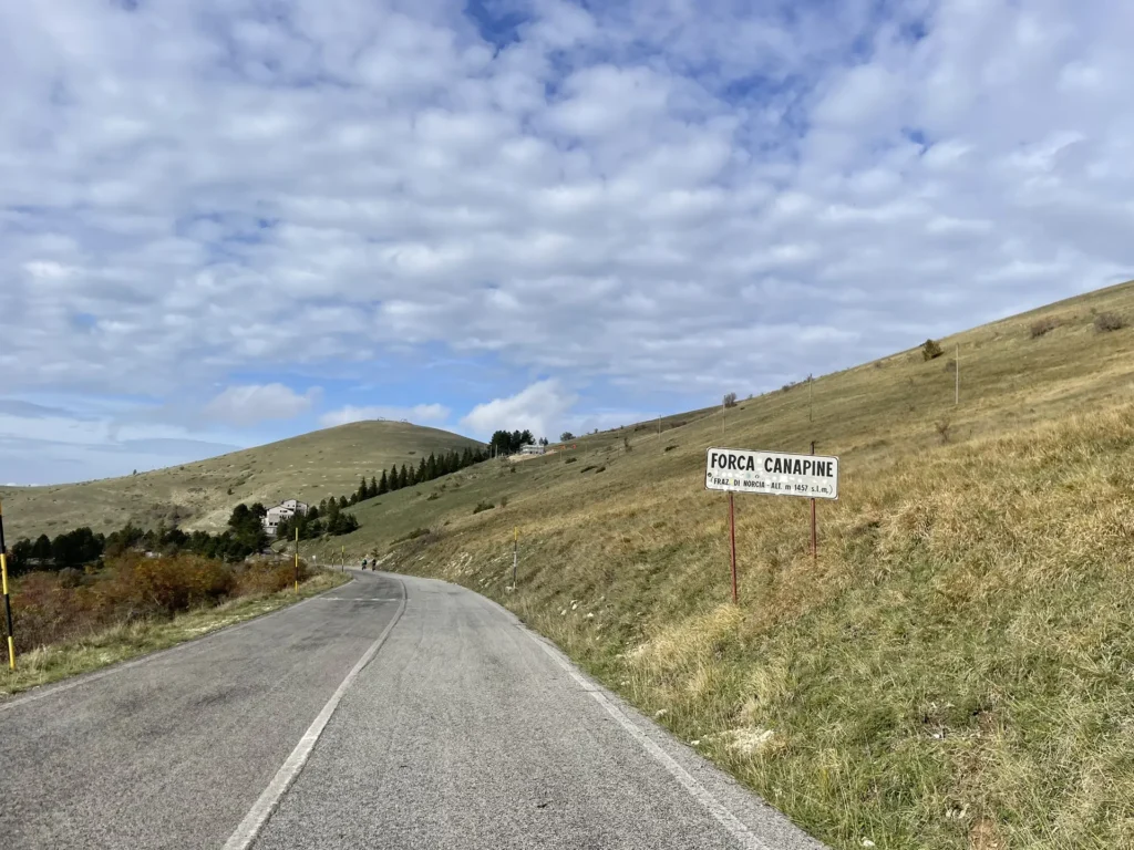 Forca Canapine da Norcia canapine norcia 1400
