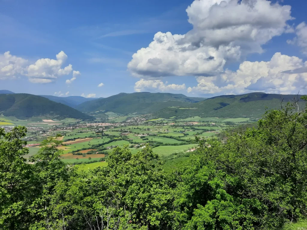 Forca Canapine da Norcia canapine norcia pano