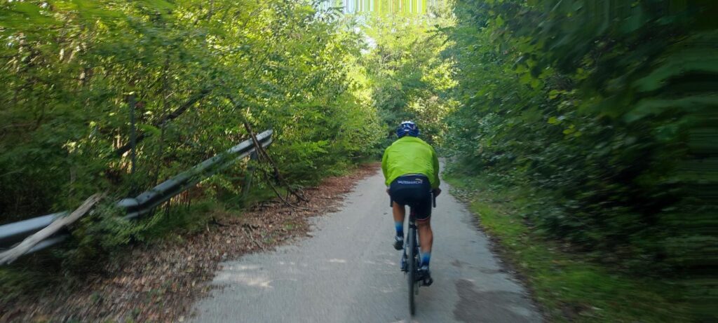 LA VIA CHE PORTA AI FUNGHI grisciano (2)