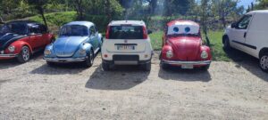 LA VIA CHE PORTA AI FUNGHI