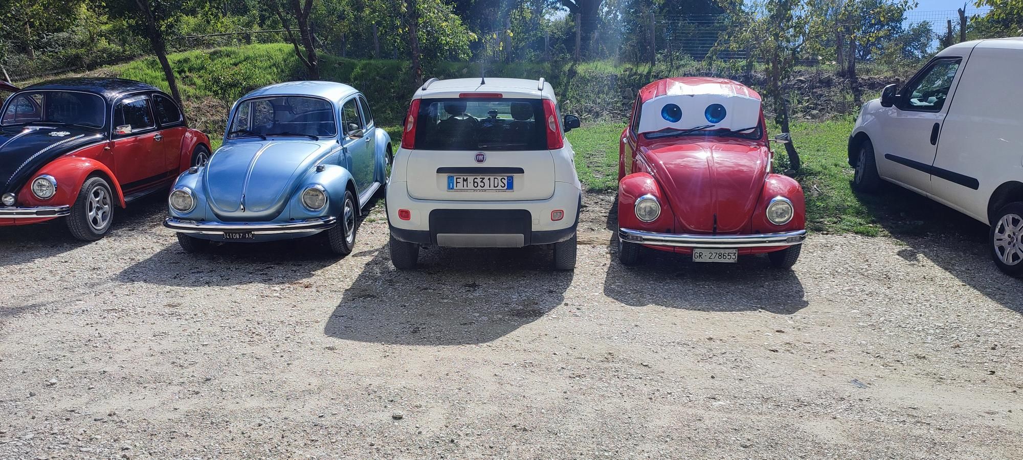 grisciano (4)