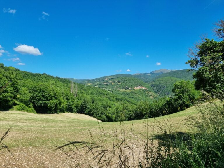 mevale da chiusita