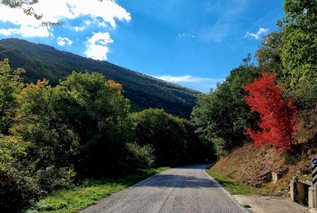 Colli di Montebufo preci piani di montebufo 3